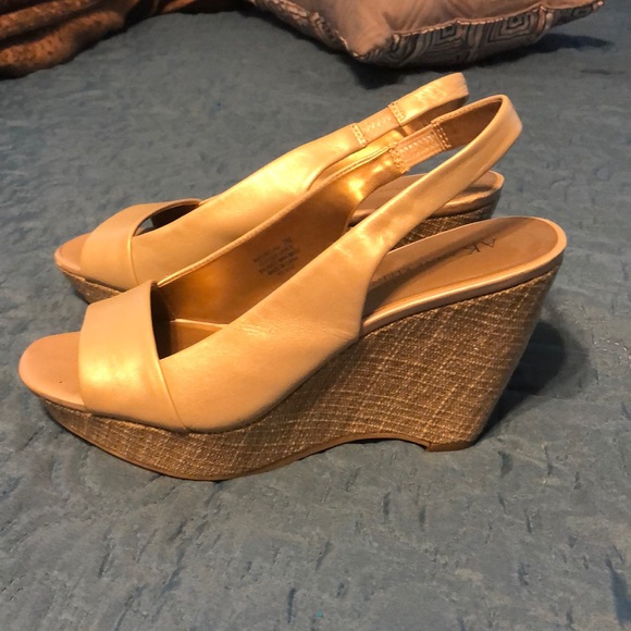 Wedges - Picture 2 of 3